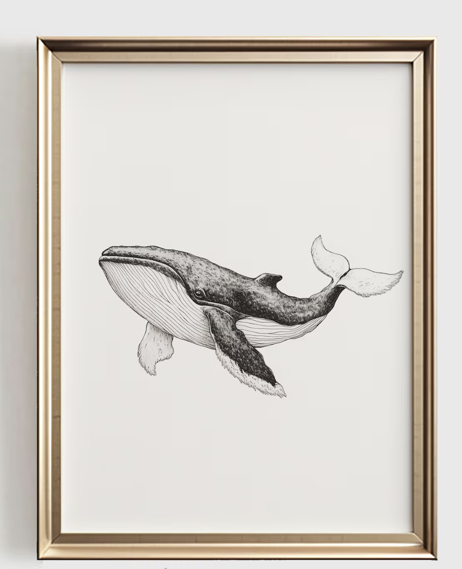 Whale Line Art Print, Minimali - Baby Nursery Art recension och pris
